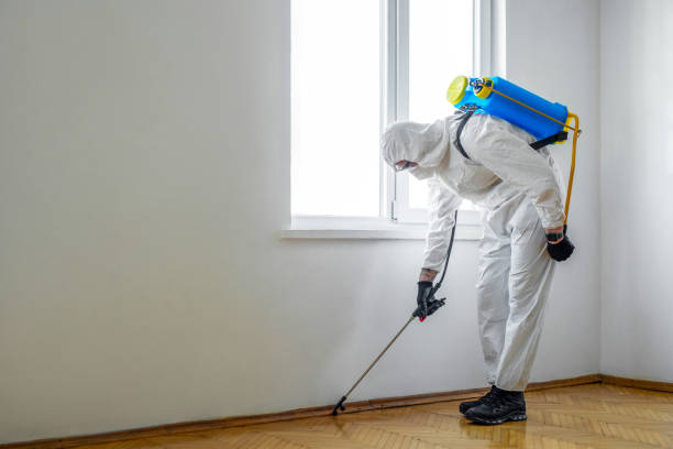 Best Affordable Pest Control Services  in Tuscumbia, AL