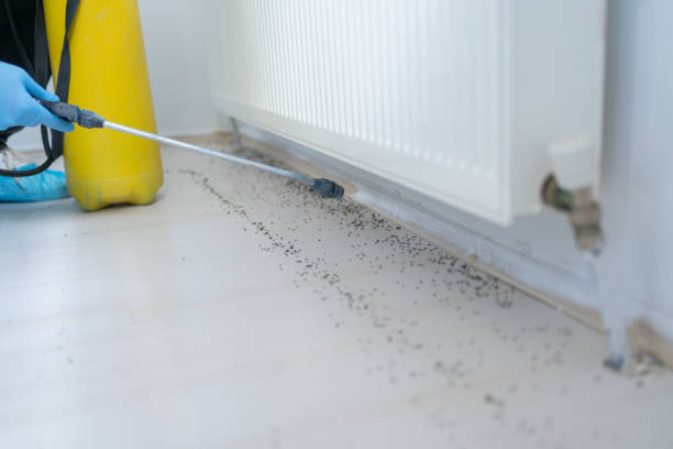 Best Commercial Pest Control Services  in Tuscumbia, AL